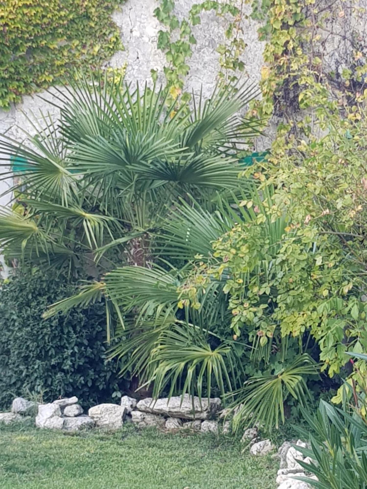 La Maison Malabar Villefranche-du-Queyran Ngoại thất bức ảnh